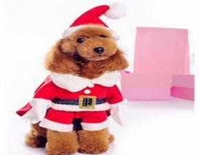 Fuuny Cloth Chrismas Red MQ-PF62 (M)