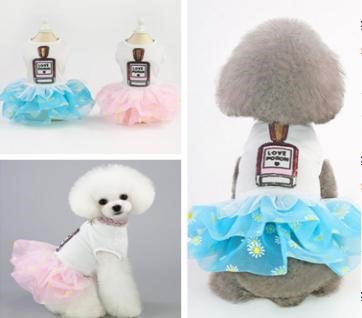 Pet Girl Blue Perfume YP-201901015 (L)