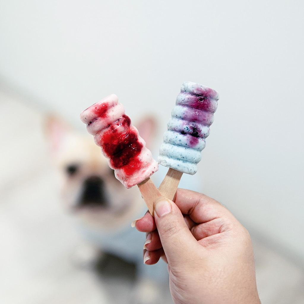 Healthy Paws- Berries Pawsicle (Strawberry)