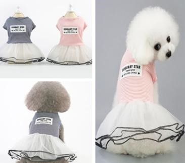 Pet Girl Pink Color YP-201901010 (M) 