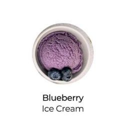 FURBIES PET BAKERY ice-cream(Blueberry)